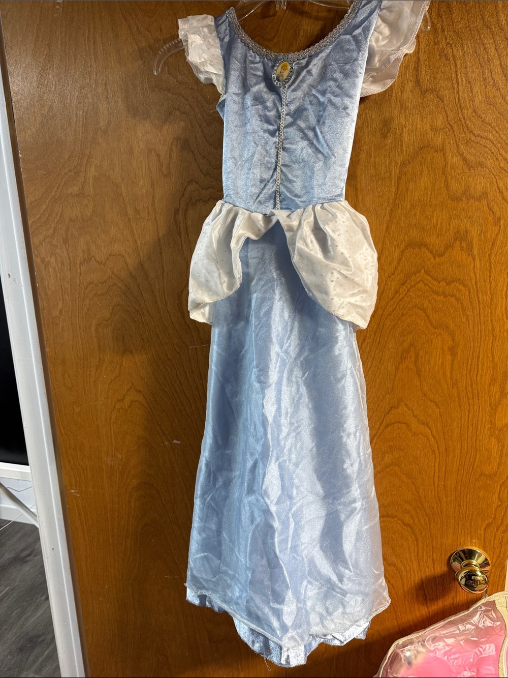 Cinderrella Fairy Tale Princess Dress with White Accents